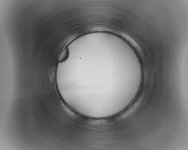 X0000113920801200910221352