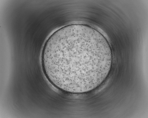X0000113920803200910221352