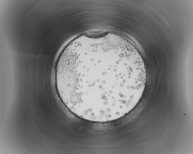 X0000113920804200910221352