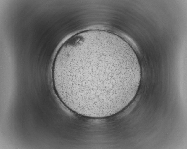 X0000113920808200910221352