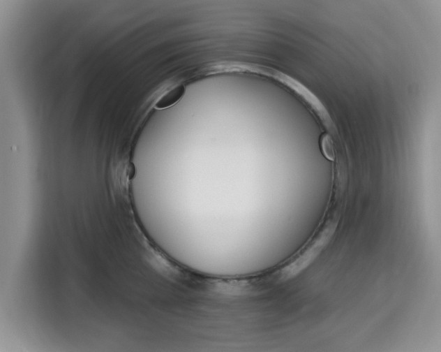 X0000113920809200910221352
