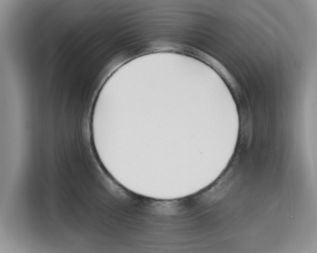 X0000113920810200910221352