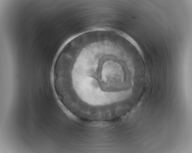 X0000113920811200910221352