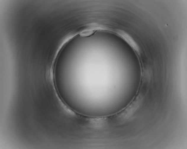 X0000113920813200910221352