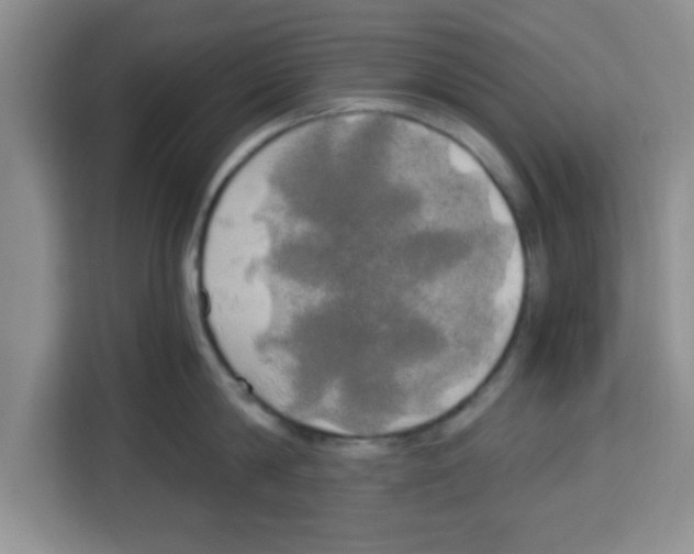 X0000113920814200910221352