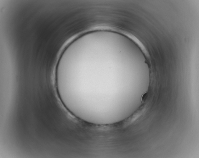 X0000113920815200910221352