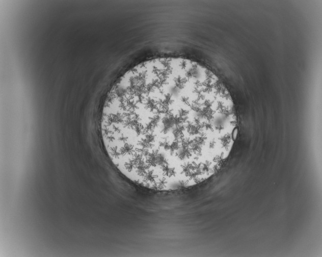 X0000113920817200910221351