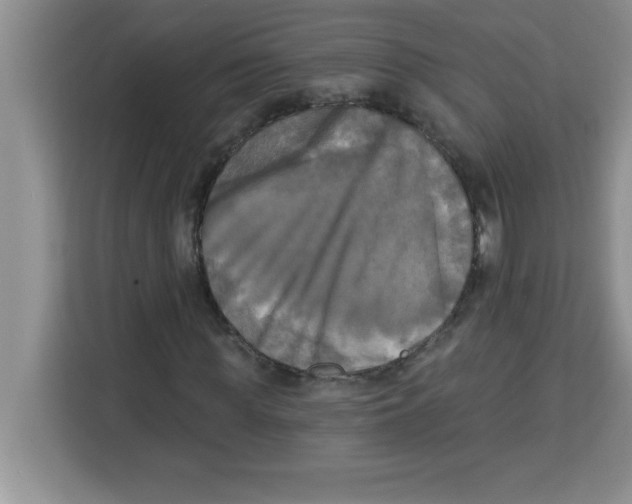 X0000113920819200910221351
