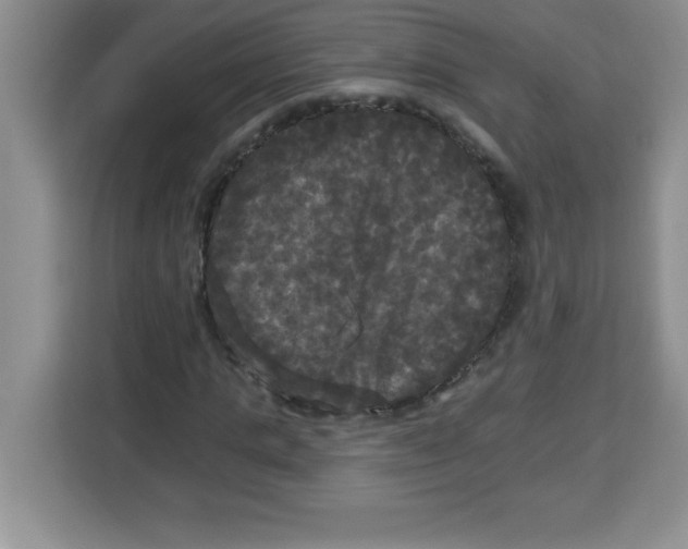 X0000113920821200910221351