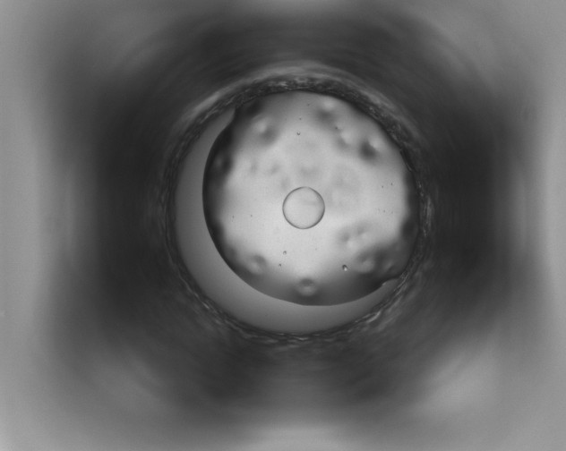 X0000113920822200910221351