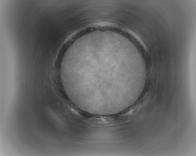 X0000113920823200910221352