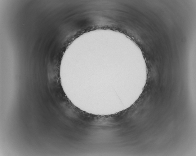 X0000113920824200910221352