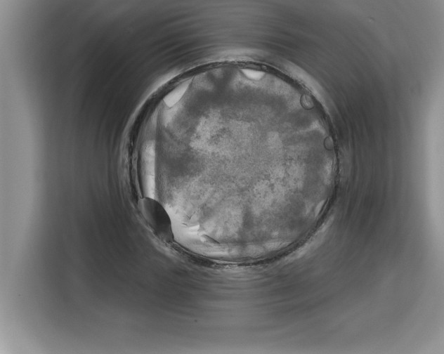 X0000113920827200910221352
