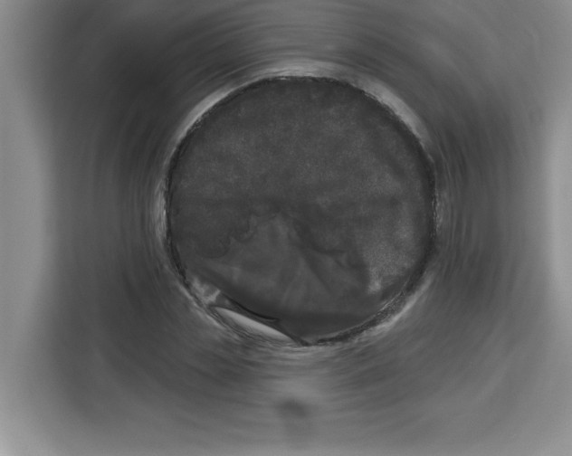 X0000113920829200910221352
