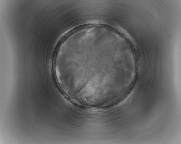 X0000113920831200910221352