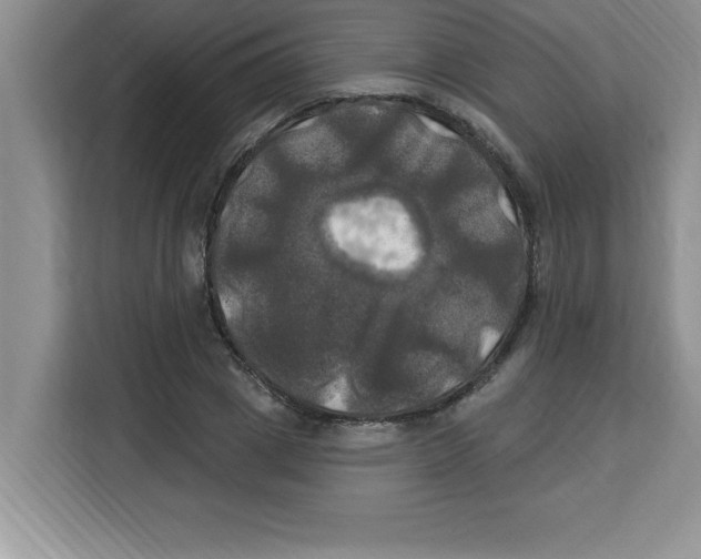 X0000113920833200910221352