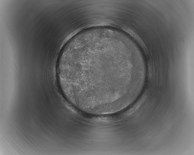 X0000113920834200910221352