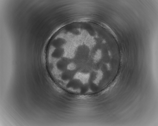 X0000113920835200910221352