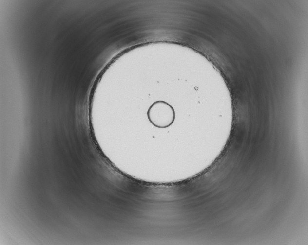 X0000113920836200910221352