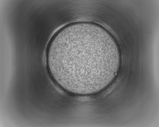 X0000113920838200910221352