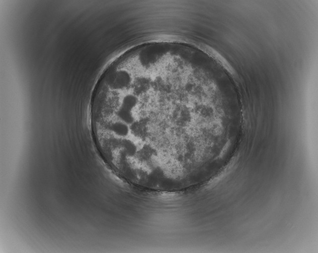 X0000113920839200910221352