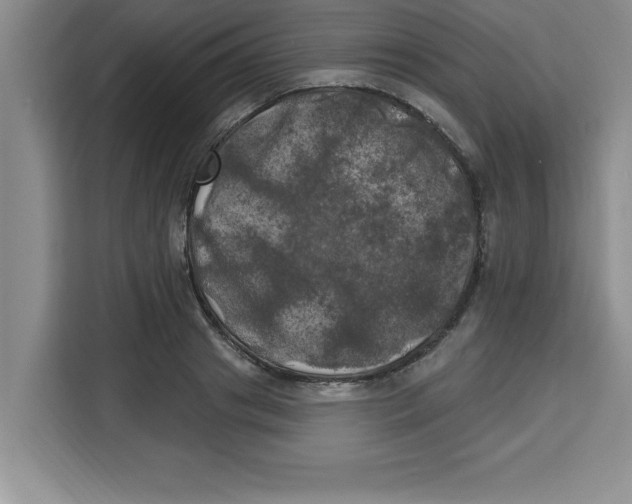X0000113920841200910221352