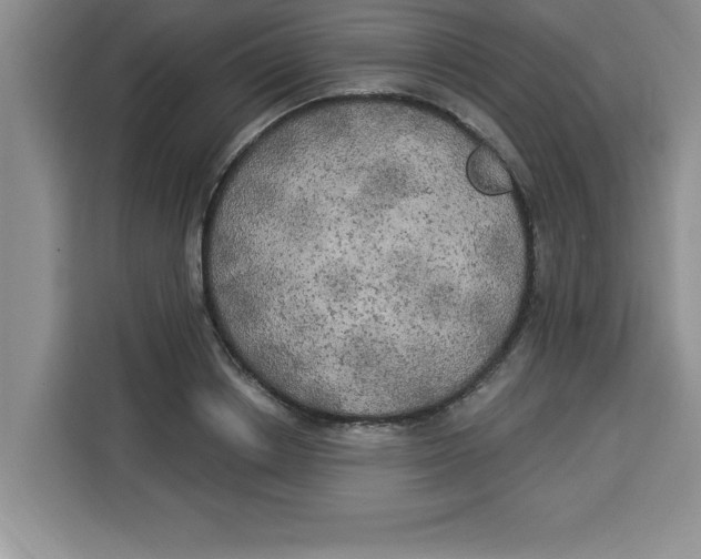 X0000113920842200910221352