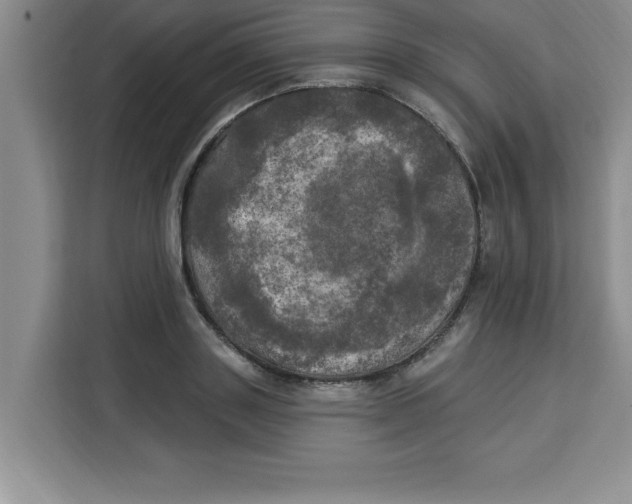 X0000113920843200910221352