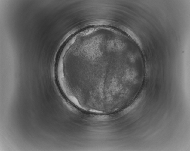 X0000113920845200910221352