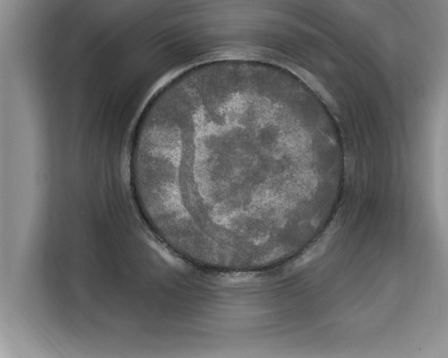 X0000113920846200910221352