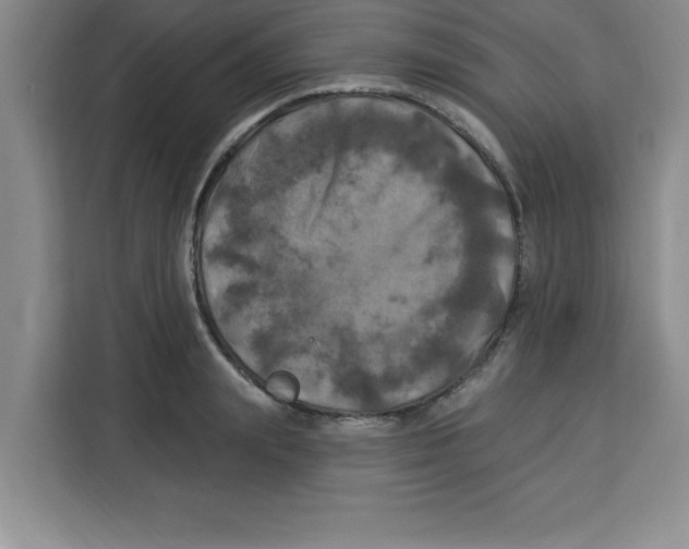 X0000113920847200910221352