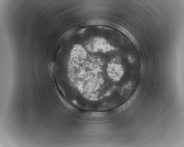 X0000113920849200910221352