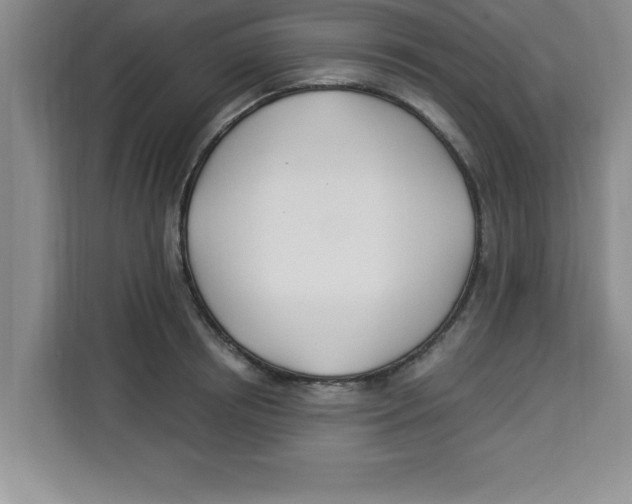 X0000113920850200910221352