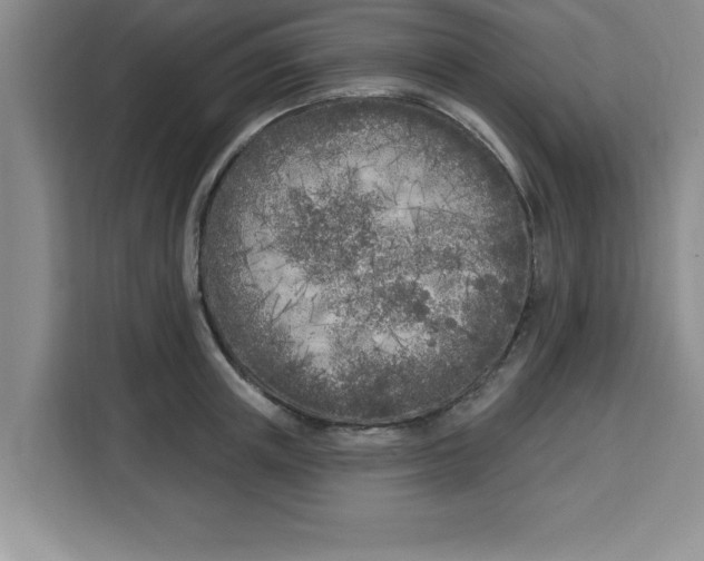 X0000113920851200910221352