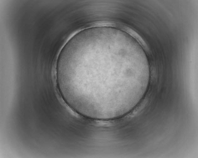 X0000113920852200910221352
