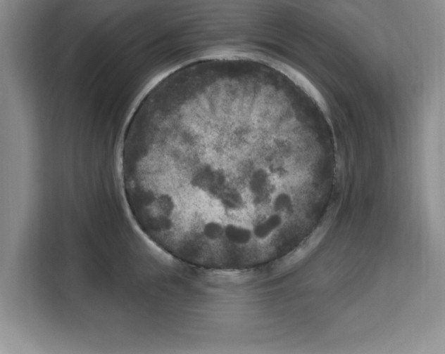 X0000113920855200910221352