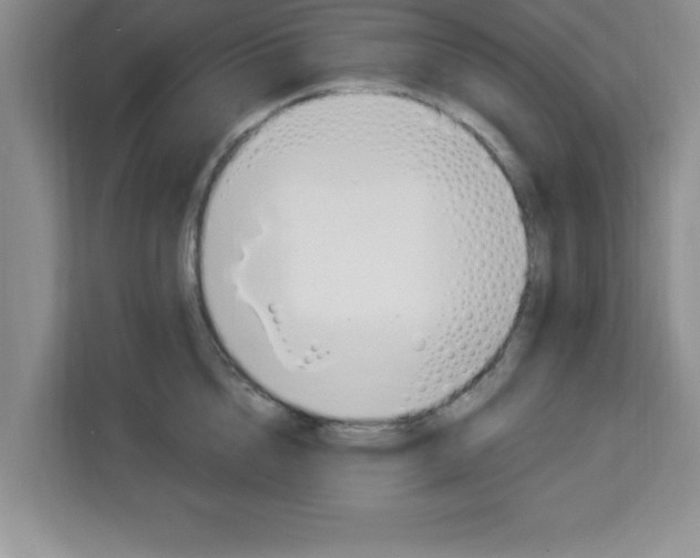 X0000113920856200910221352