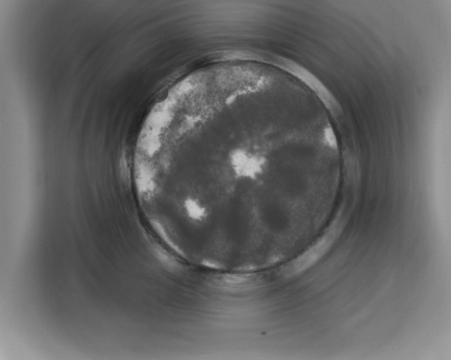 X0000113920857200910221352