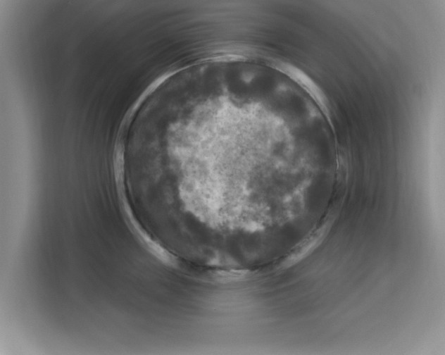 X0000113920859200910221352