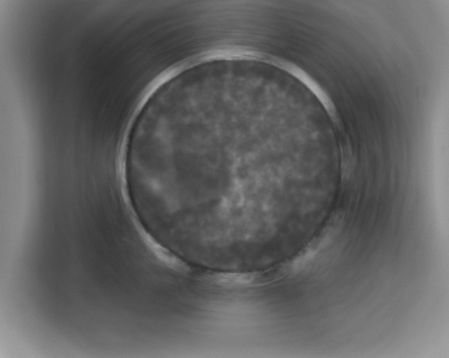 X0000113920861200910221352