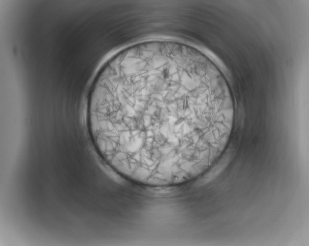 X0000113920862200910221352