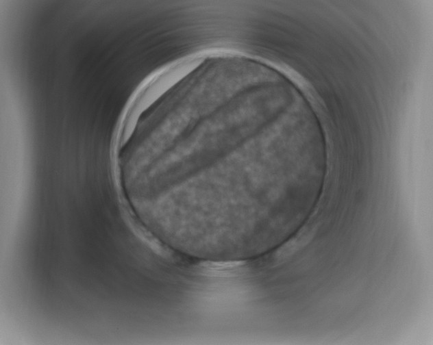 X0000113920864200910221352