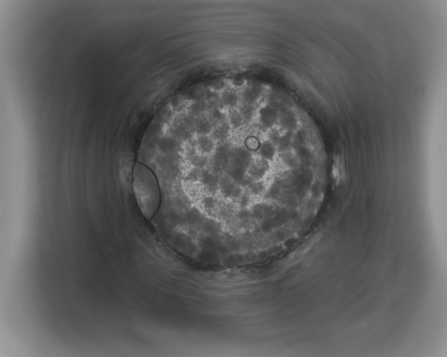 X0000113920867200910221351