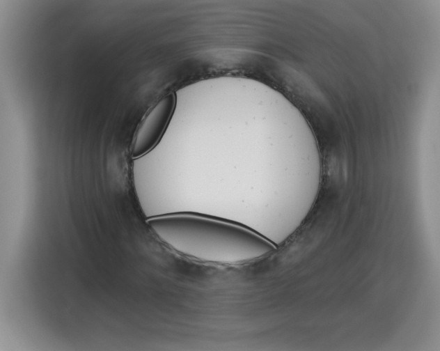 X0000113920868200910221351