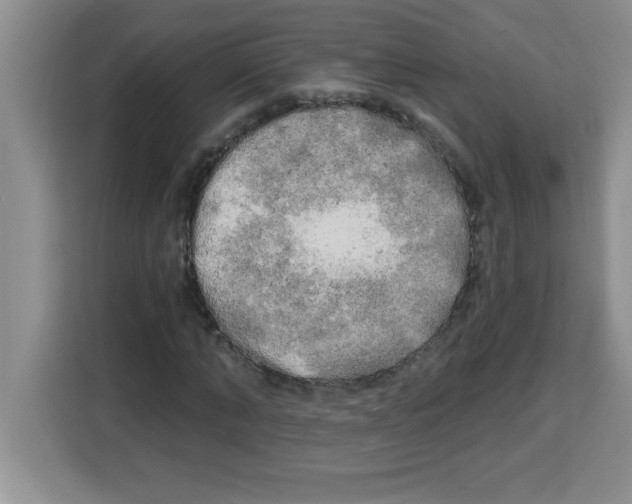 X0000113920870200910221351