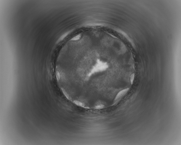 X0000113920871200910221351