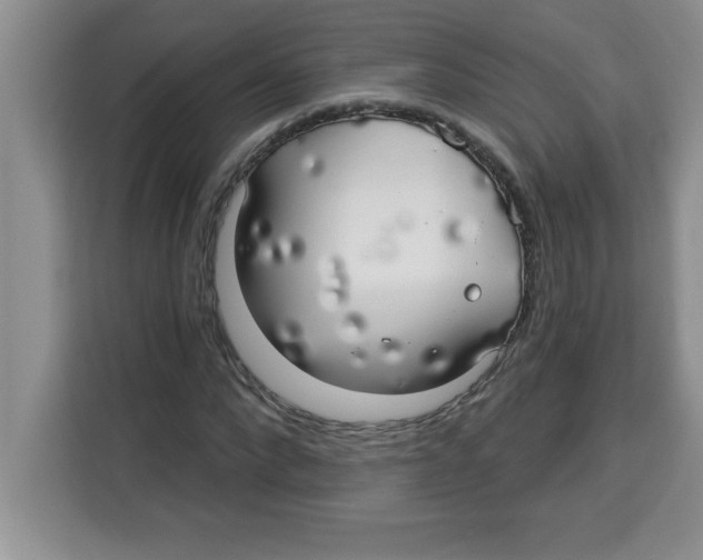 X0000113920872200910221351