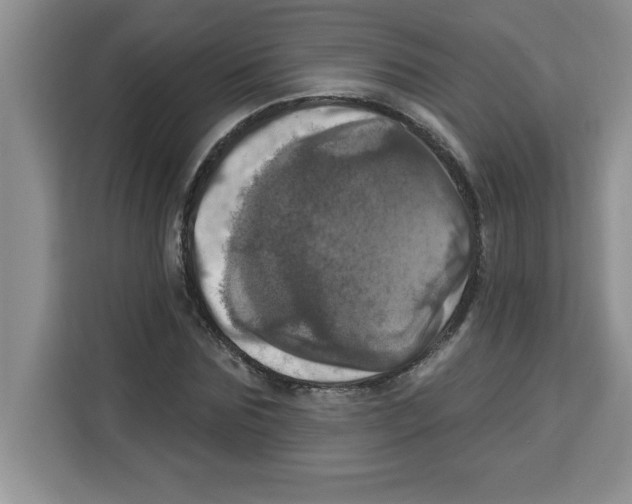 X0000113920875200910221351