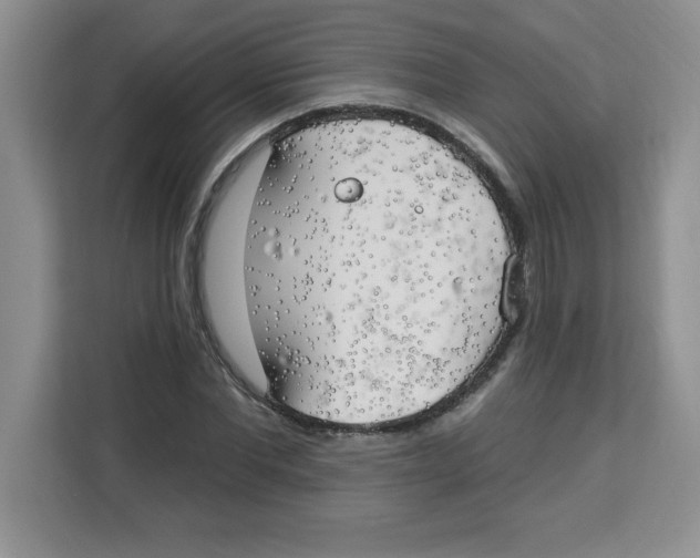 X0000113920877200910221351