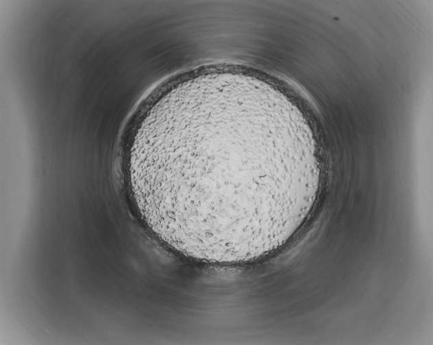 X0000113920878200910221351